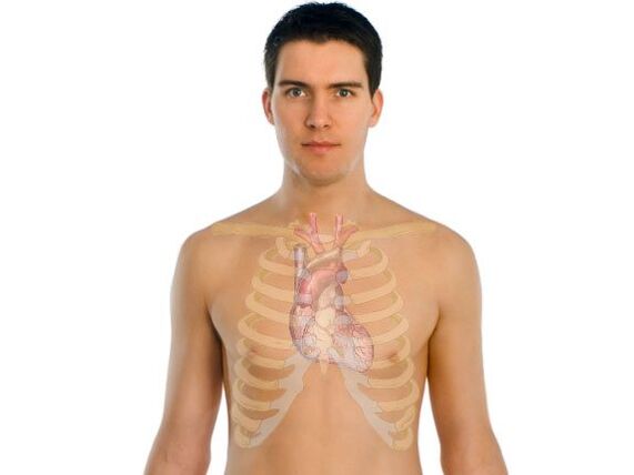 bagaimana parasit mempengaruhi organ manusia