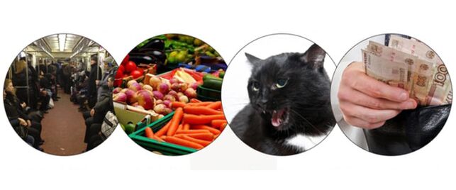 metode infeksi parasit