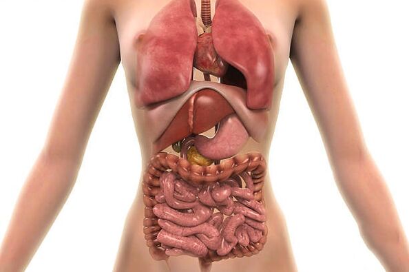 parasit dalam tubuh manusia