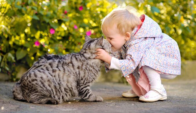 seorang anak mencium kucing dan terinfeksi cacing