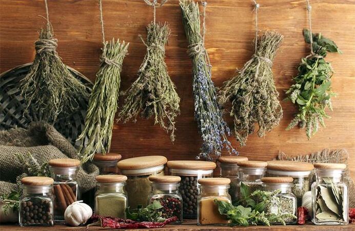 Herbal dari parasit